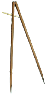 STICK--PACE.gif (11827 bytes)