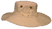 hat3.gif (14359 bytes)